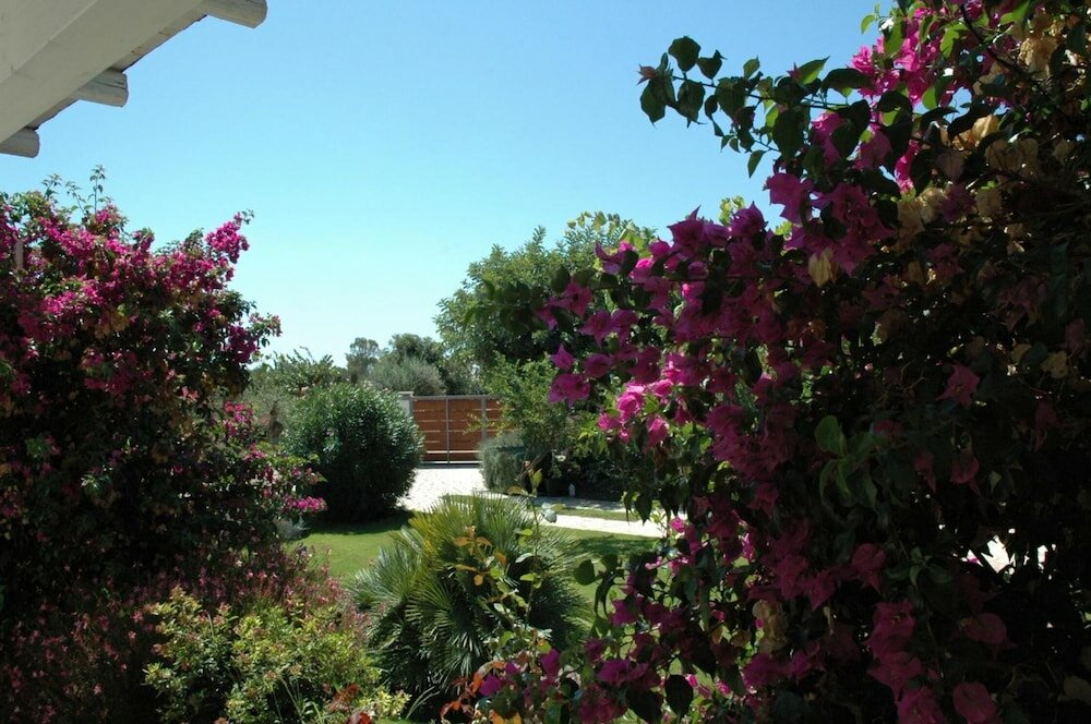 Фото Alimede Ecodimora