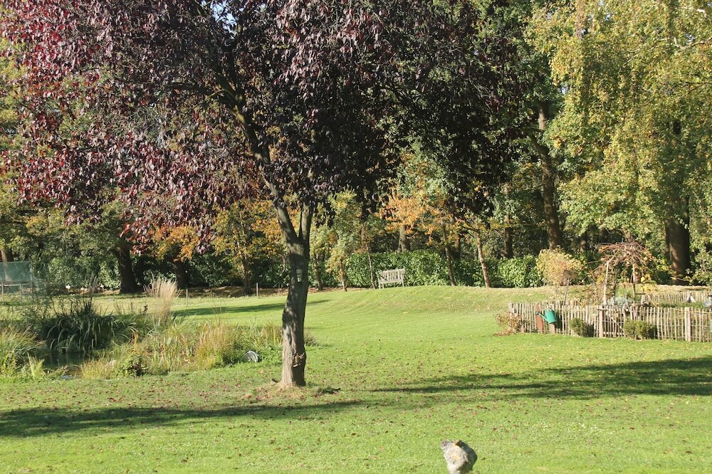 Фото Apartments Luisenhof