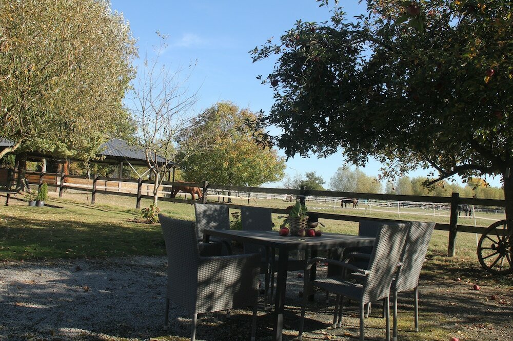 Фото Apartments Luisenhof