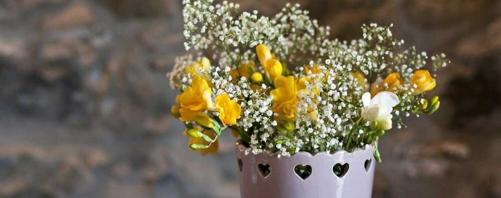 Фото Agriresort Le Porcine