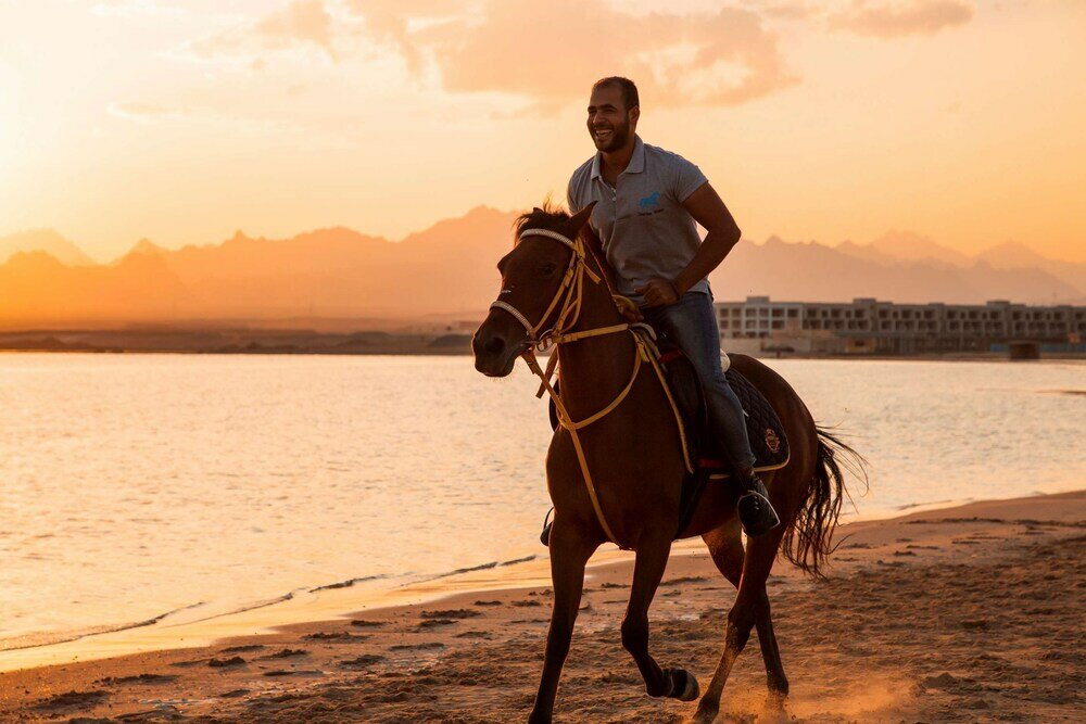 Фото Kempinski Hotel Soma Bay