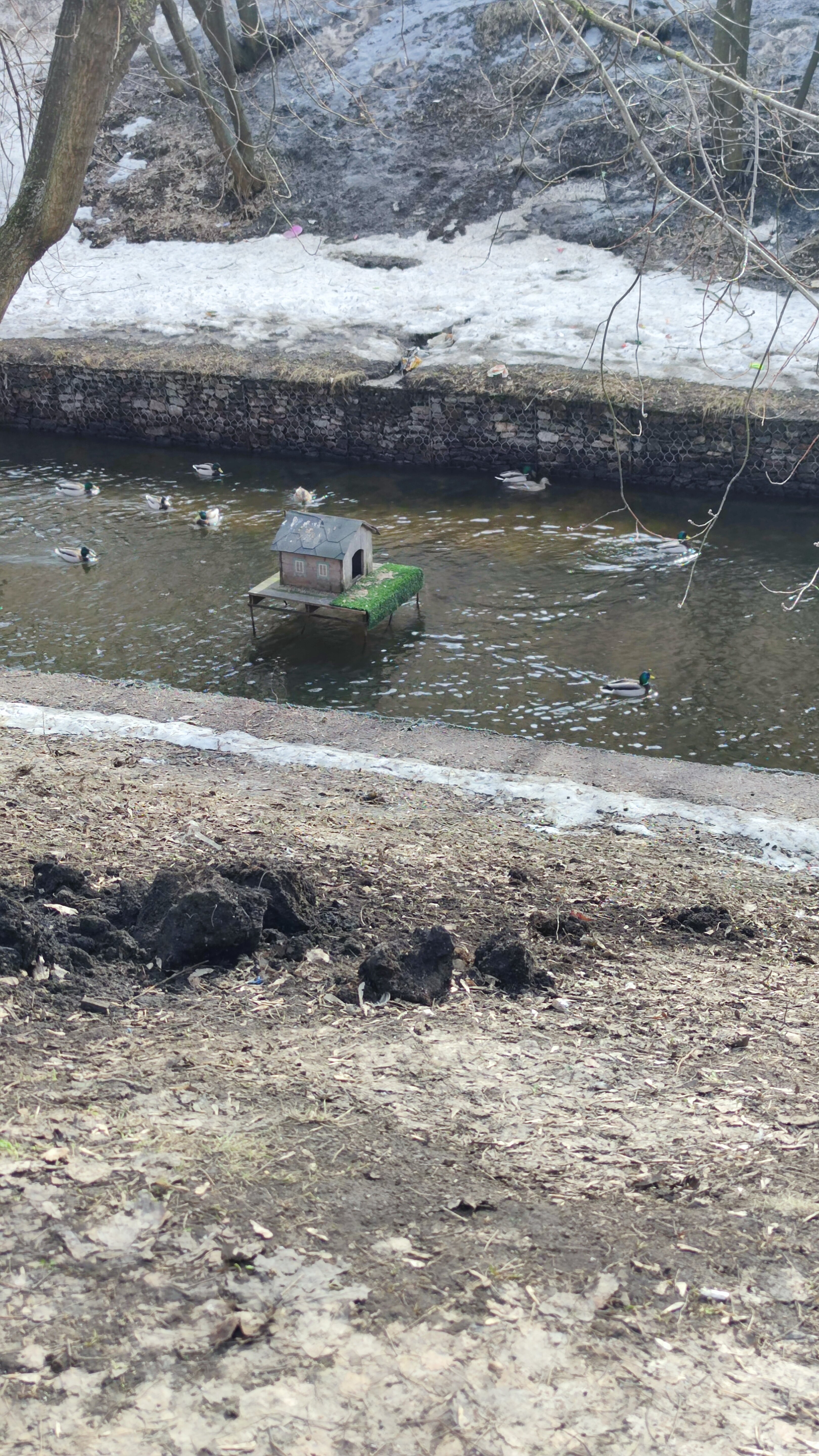 Фото НевскийРентАпарт