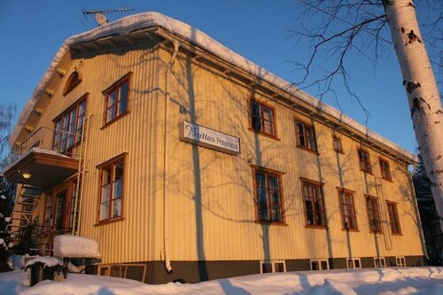 Гостиница Tree Hotel