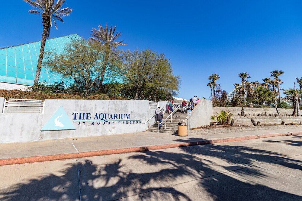 Фото Ocean Pearl