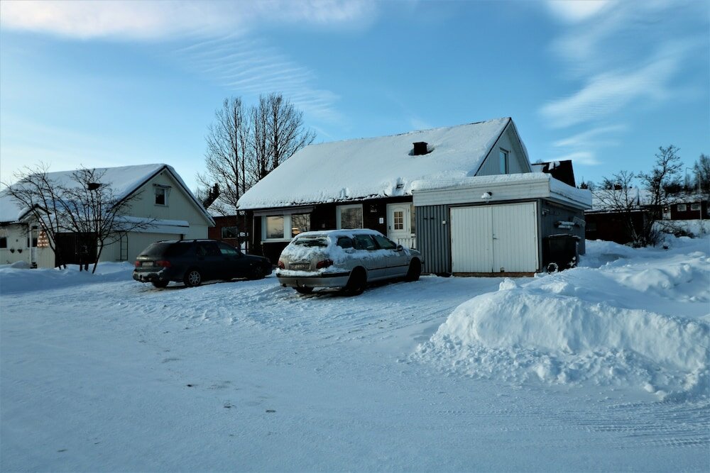 Фото Ribo Apartment Arctic - Hostel