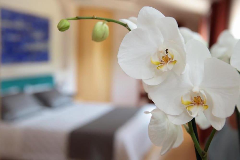 Фото Hotel Contà