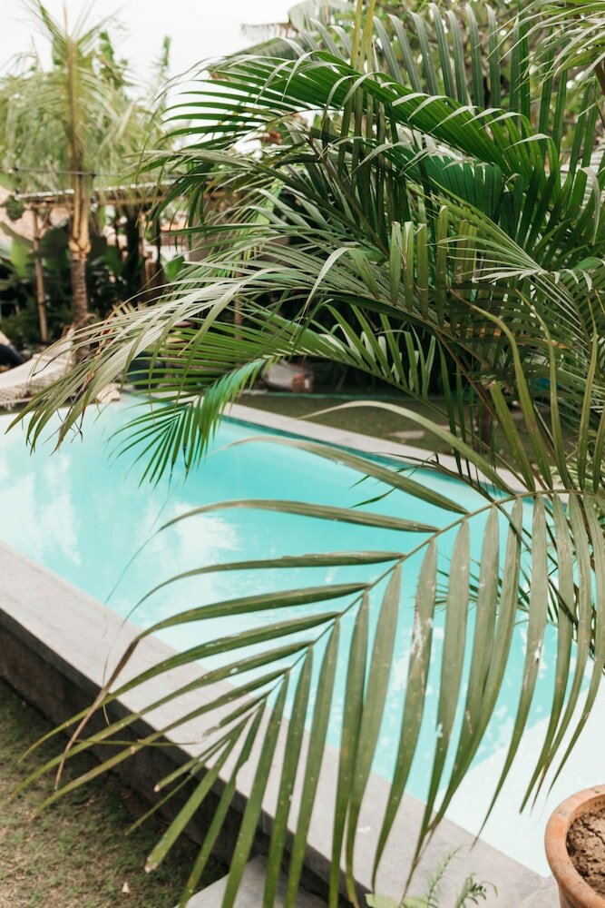 Фото Dreamsea Canggu - Hostel