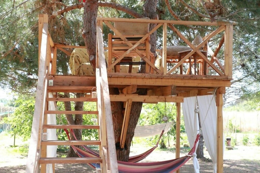 Фото Gongis Studios