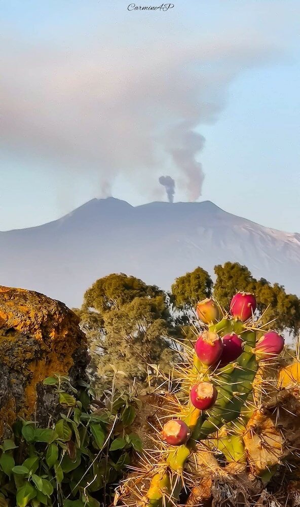 Фото B&b Lavika Pedara