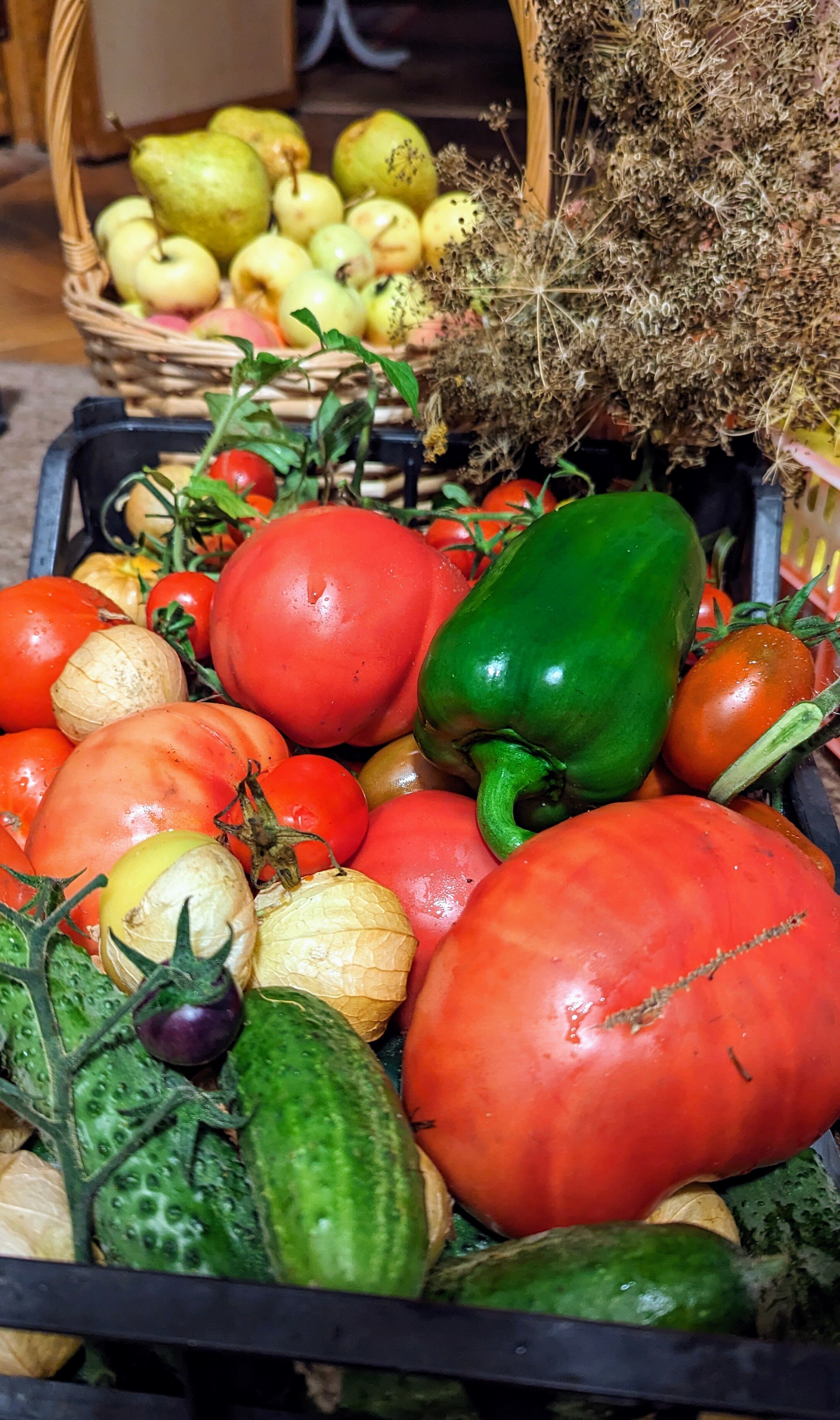 Фото Дикая Вишня