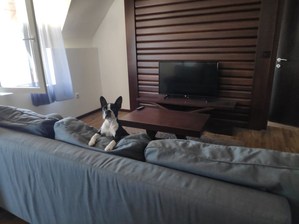 Фото Nicole Kopaonik