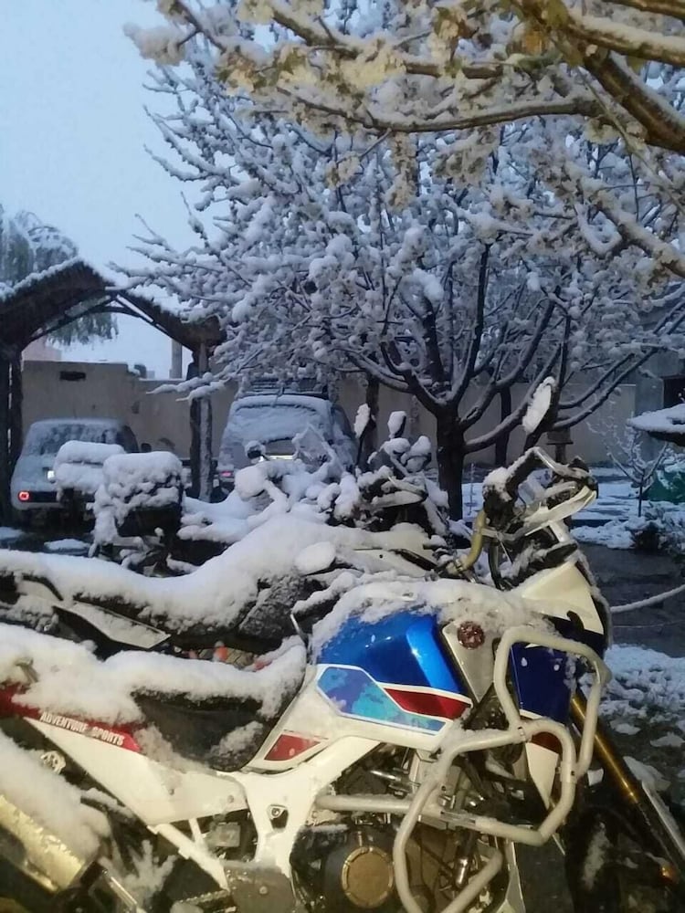 Фото Complexe Collier D'Ambre