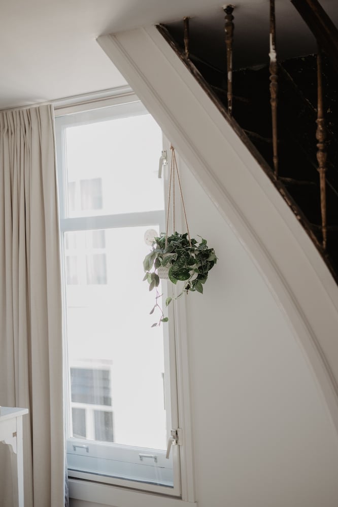 Фото Mother Goose Hotel