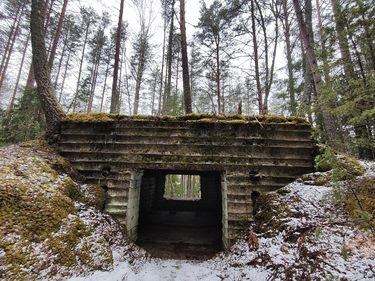 Фото Селигерское Заплавье