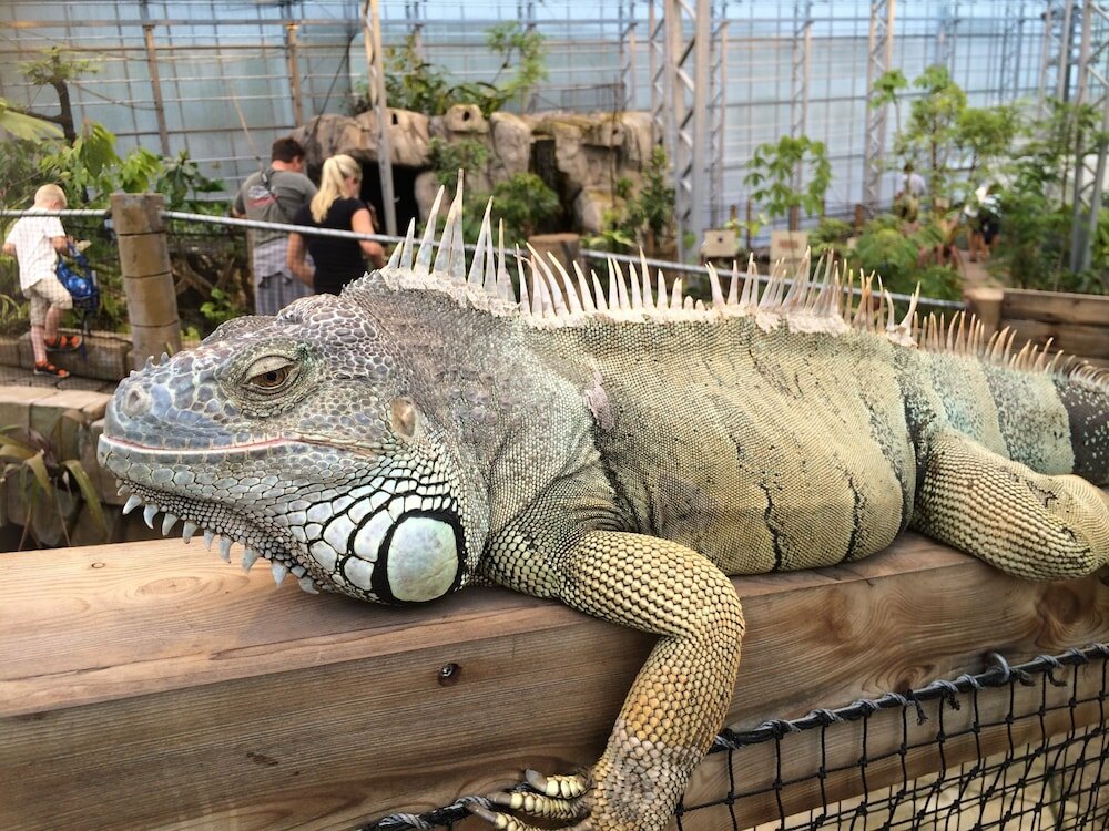 Фото Risør Hotel