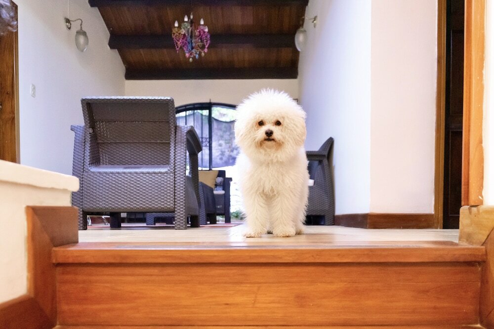 Фото Ámbar Hostel San Gil