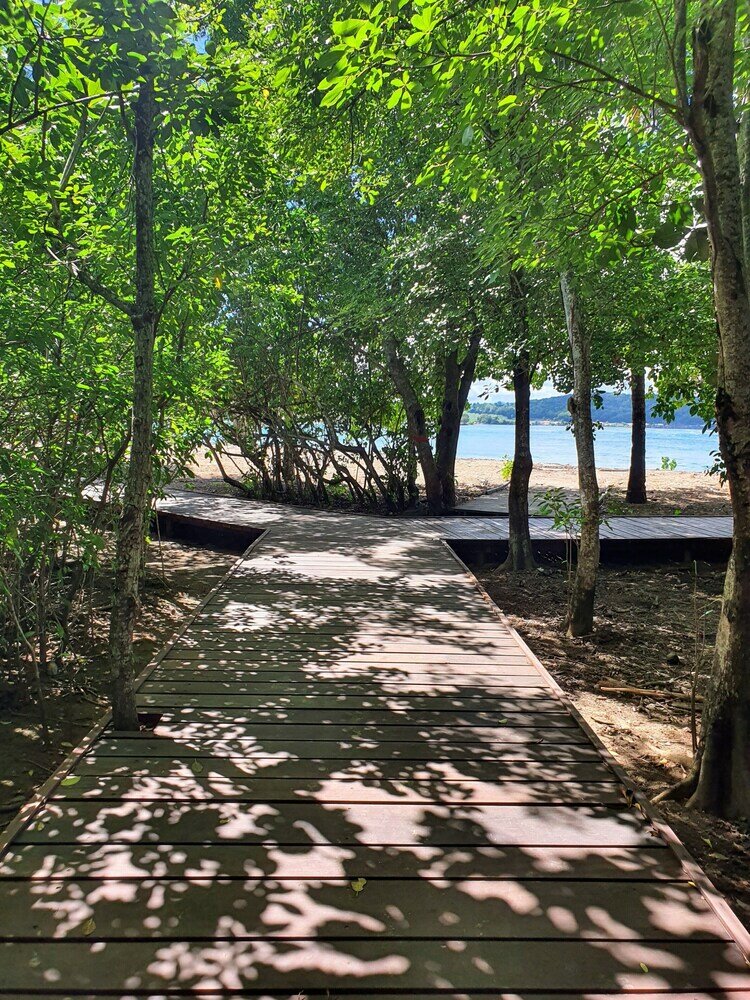 Фото Studio abricot 309