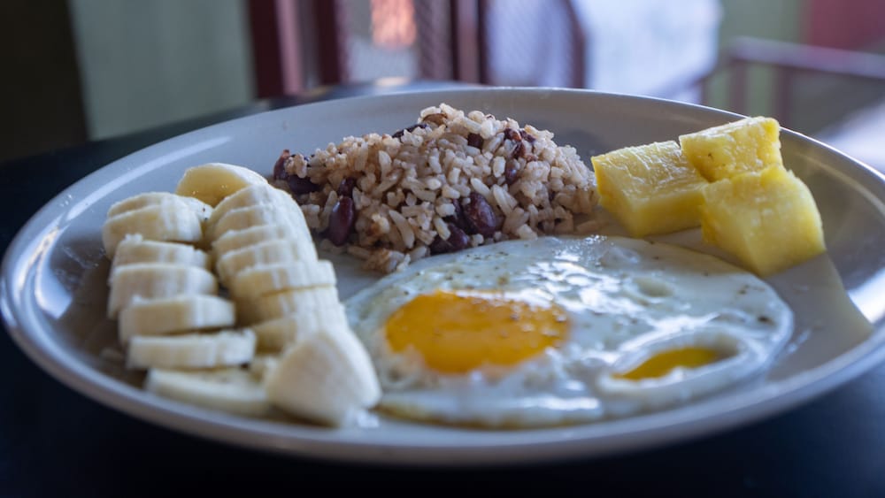 Фото Eco Hotel Puerto Urbano