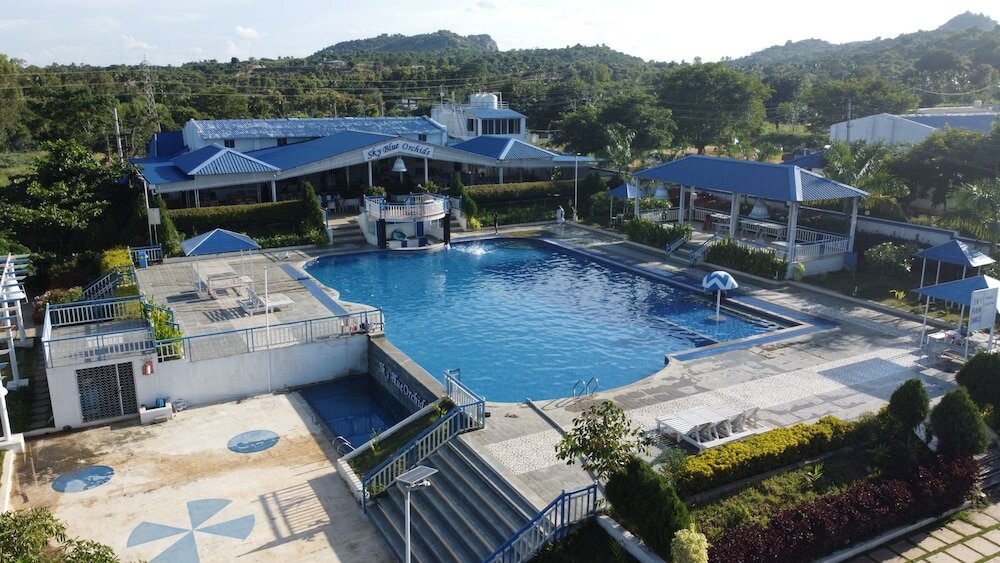 Фото SV Sky Blue Orchids