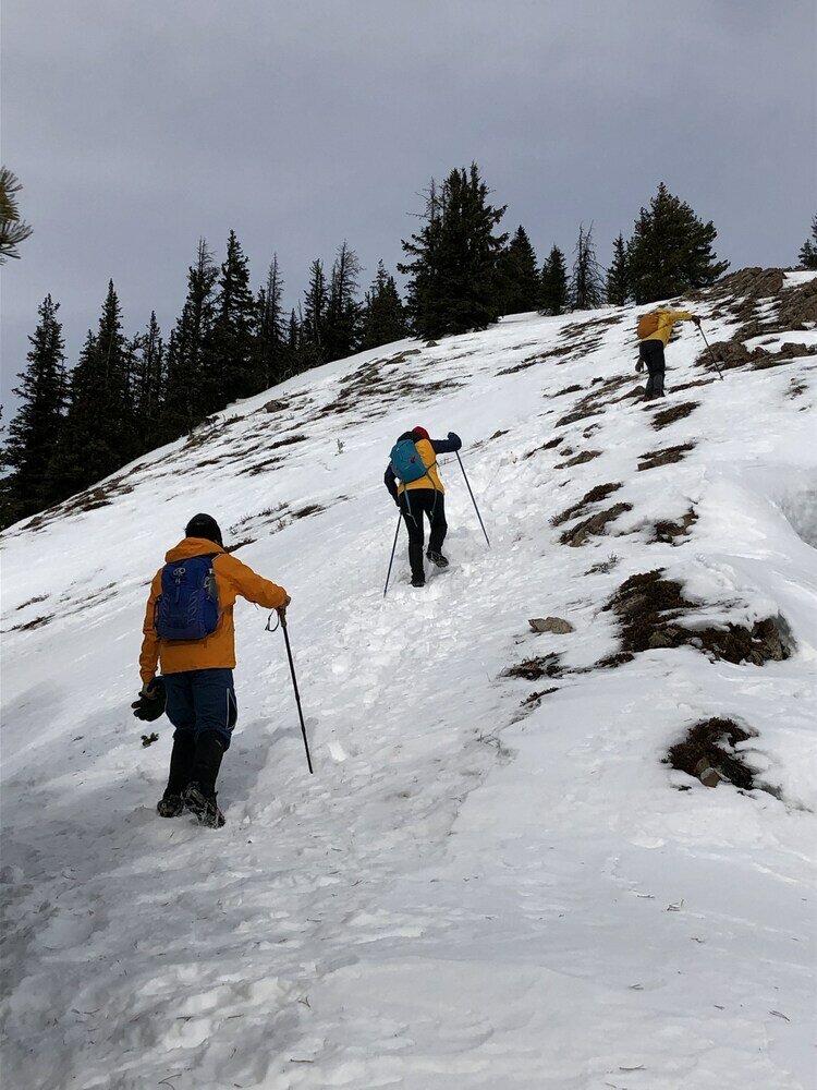 Фото Skyline 48- Mv Townhouse-AC-Pool-Hot Tub