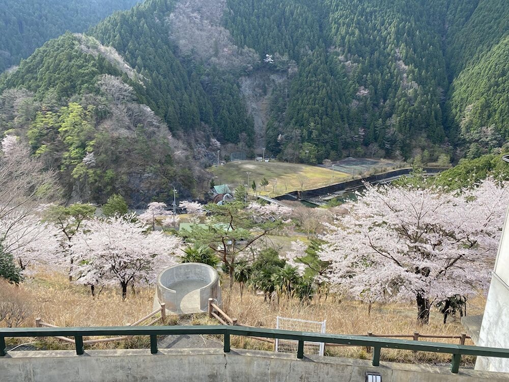 Фото Riverside Hostel B&b – Hostel