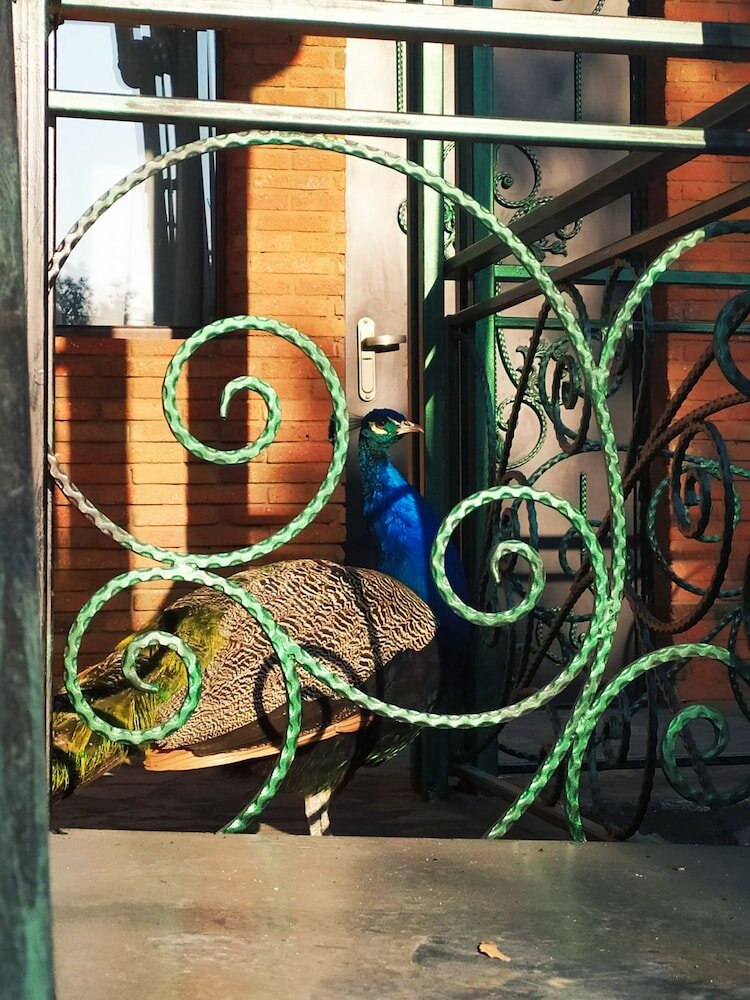 Фото Отель Hotisi