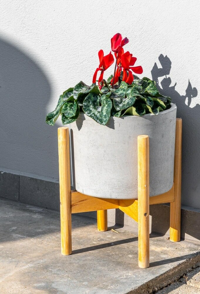 Фото Comfort Stay Airport Studios - Free shuttle from the Athens Airport