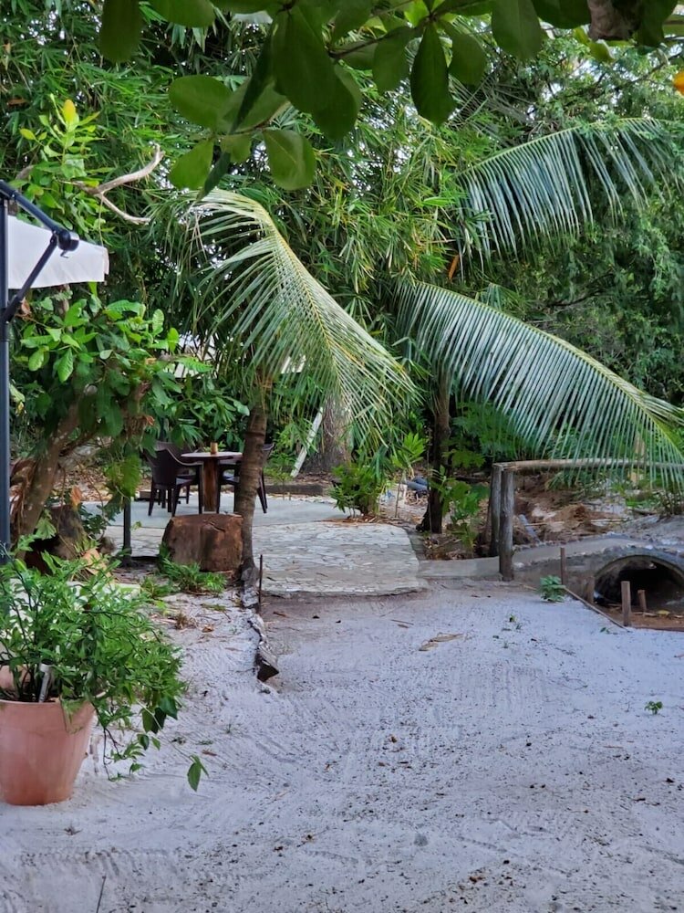 Фото Sjv Groningen