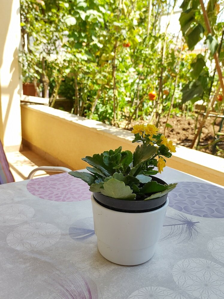 Фото Anna Guesthouse