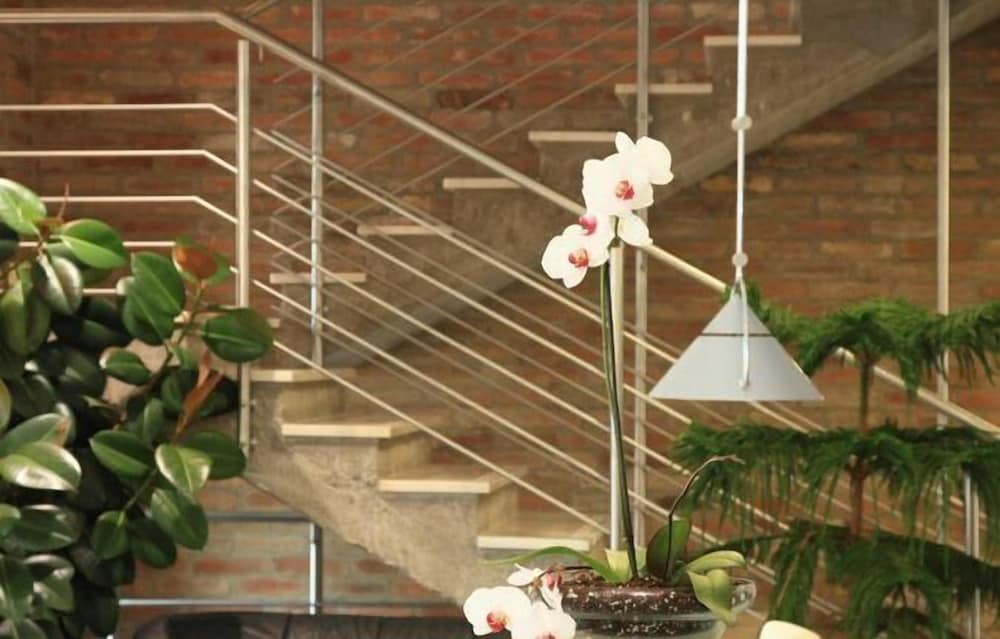 Фото Hotel Arkadia