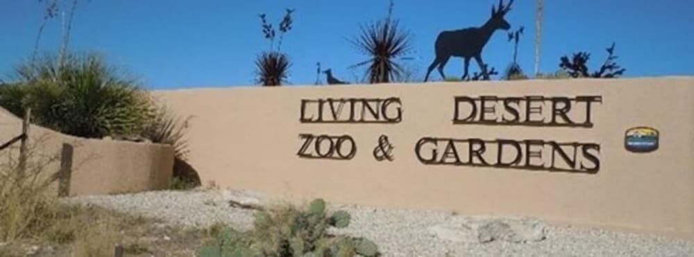 Фото MainStay Suites