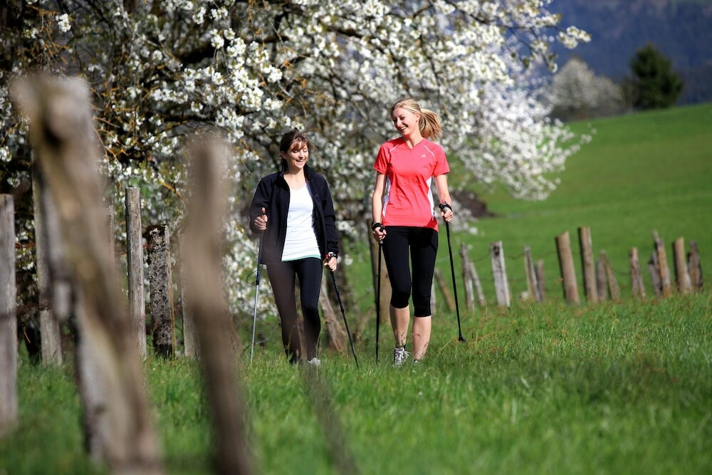 Фото Hotel Schlossblick