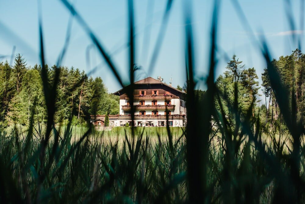 Фото Hotel Waldsee