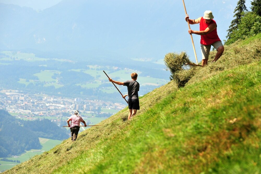 Фото Hotel Schlossblick