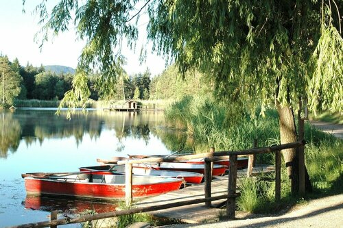 Гостиница Hotel Waldsee