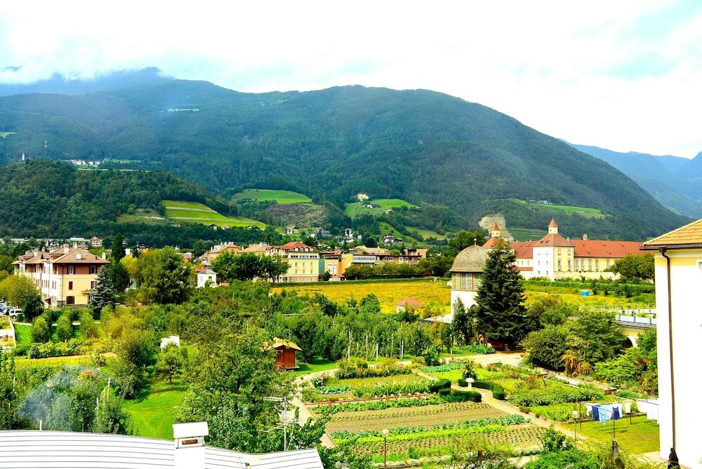 Фото Hotel Traube