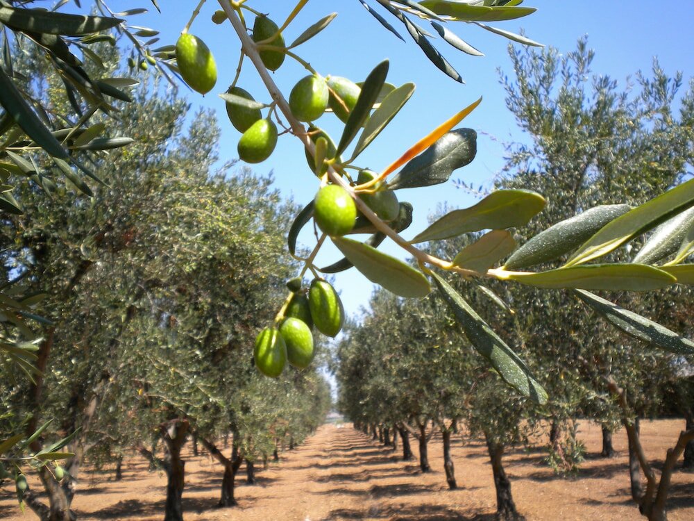 Фото Villaggio San Giovanni