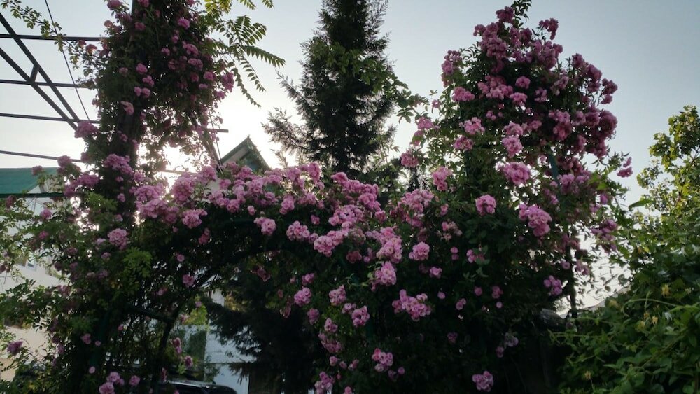 Фото Hotel Mirage