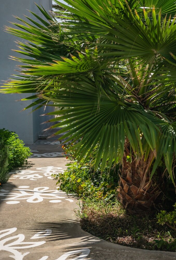 Фото Vigla Hotel