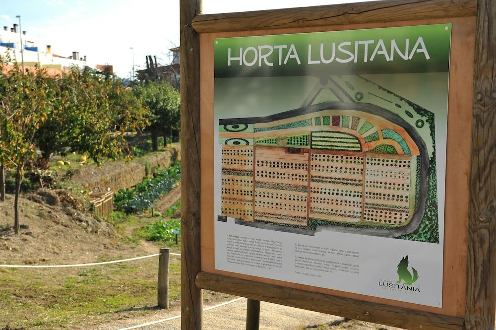 Фото Hotel Lusitania