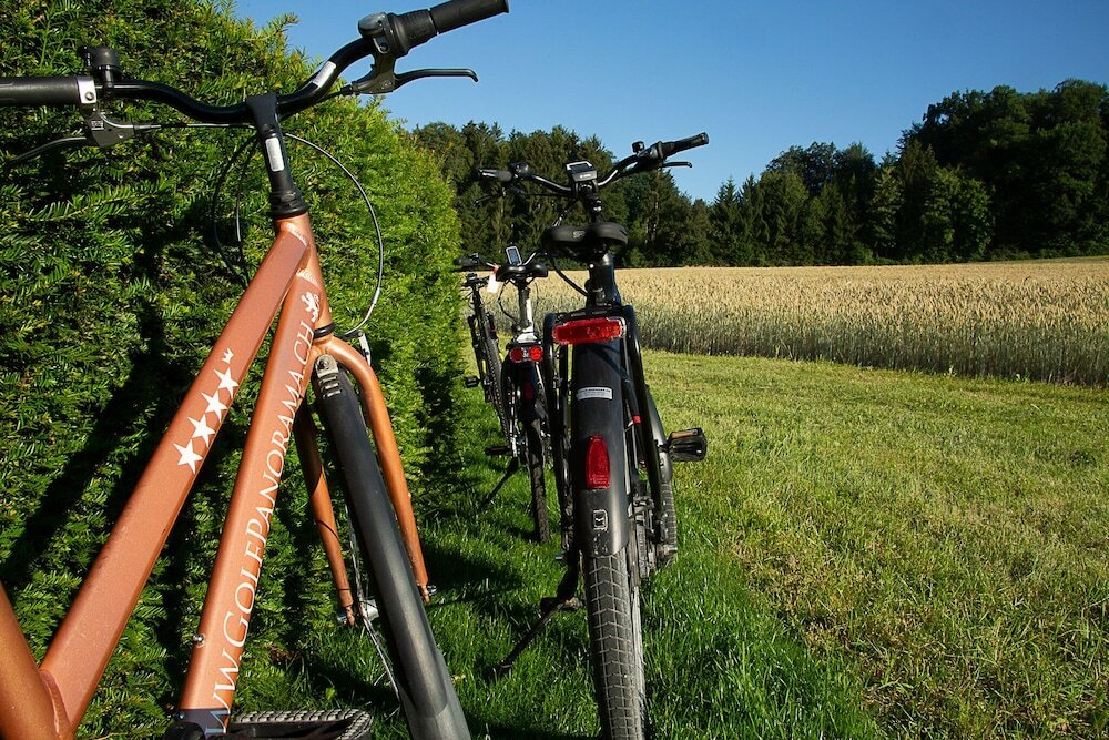 Фото Wellnesshotel Golf Panorama