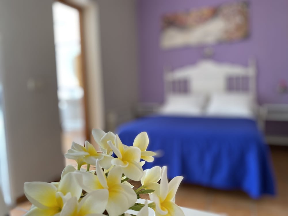 Фото Hostal Moscatel