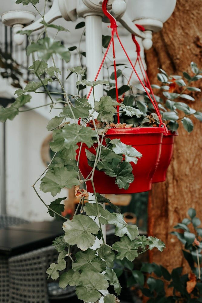 Фото Hotel Crystal