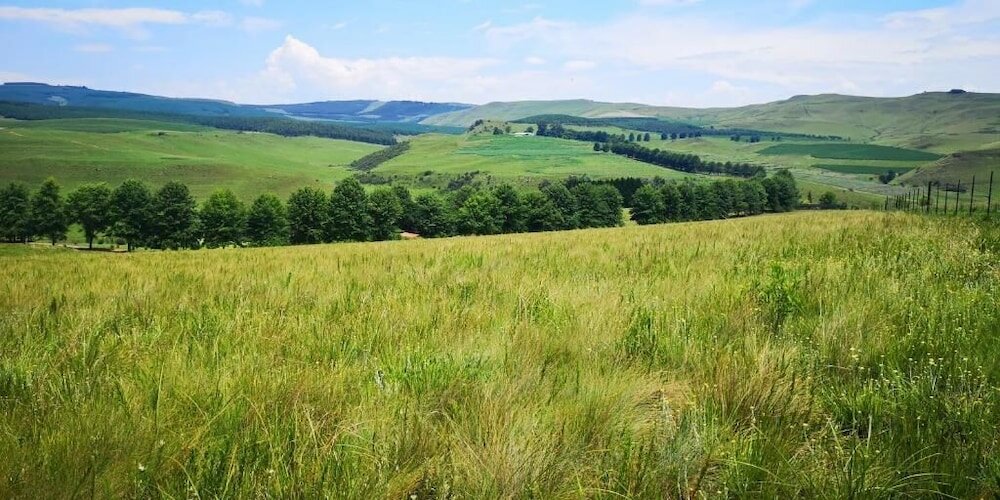 Фото Amazian Mountain River Lodge