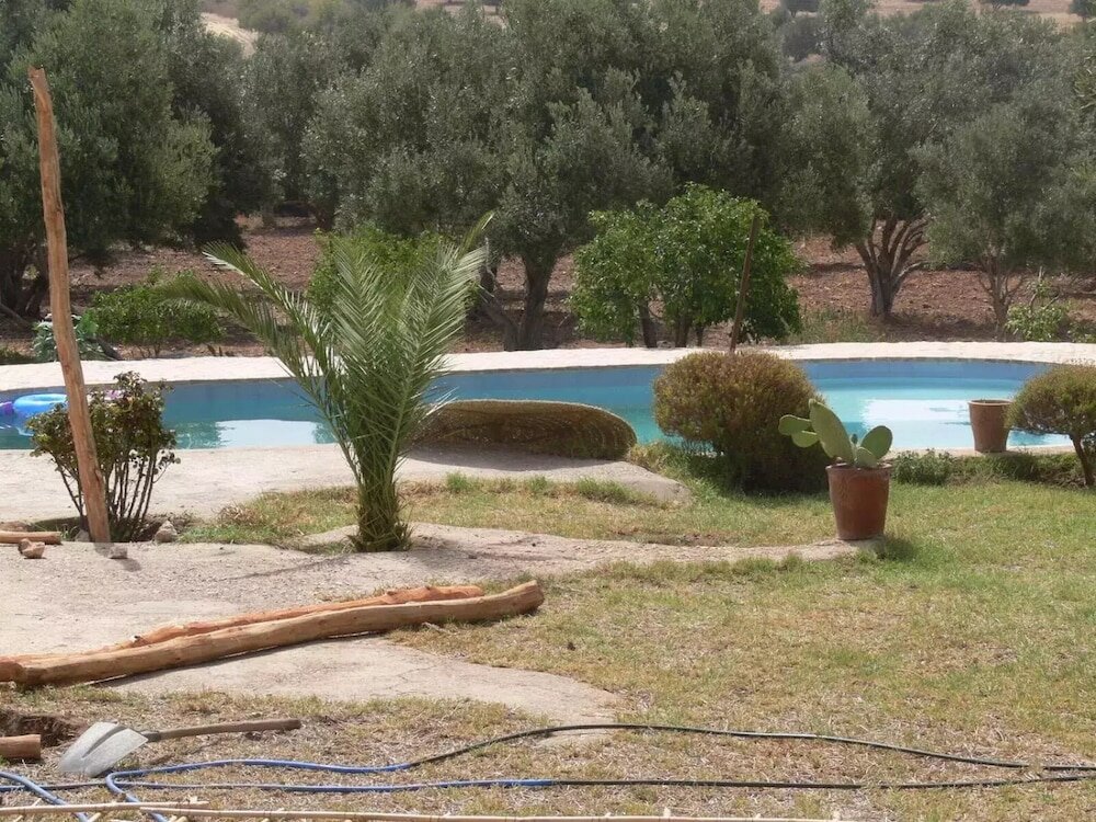 Фото Douar des Oliviers