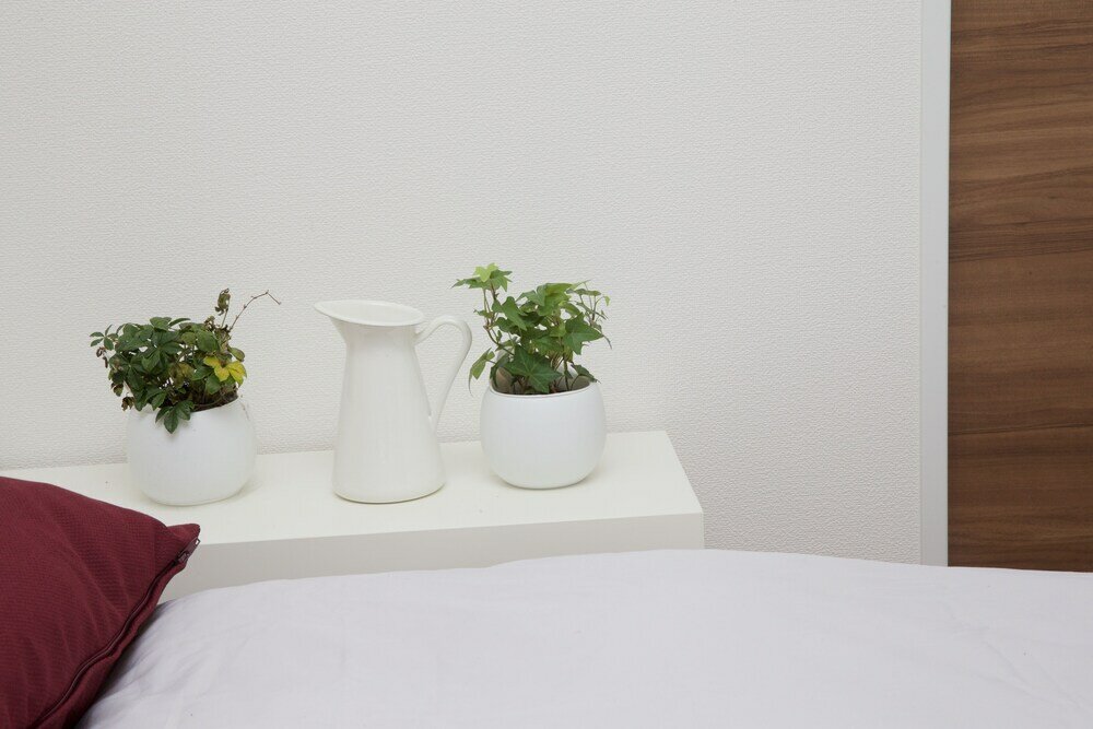 Фото Nishi-Sugamo Guest House. 2min to Nishi-Sugamo Sta. 13min to Ikebukuro Sta