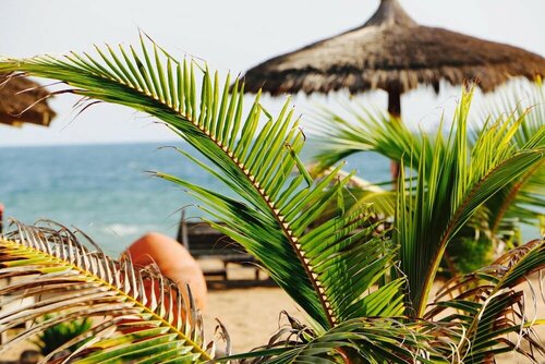 Гостиница Pure Plage в Ломе