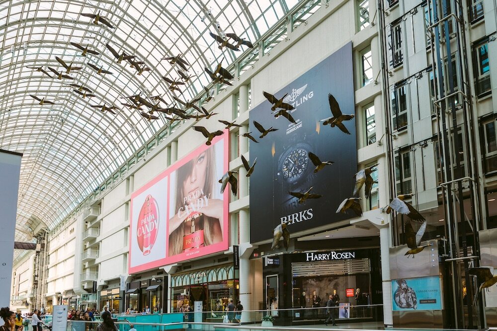 Фото Quickstay - Executive Condo in the Heart of Downtown