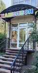 Khameleon (Dusi Kovalchuk Street, 28), hairdresser