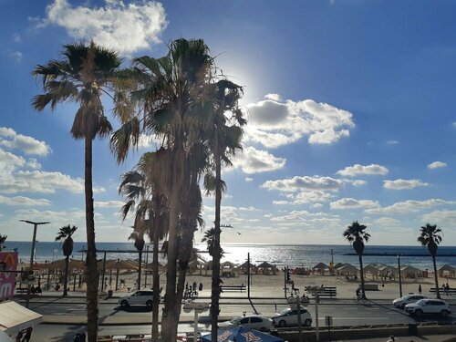 Гостиница Hotel The Herbert Tel Aviv в Тель-Авиве